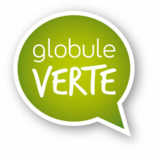 globuleVerte - Élodie Tribut - Graphiste globuleVerte - Élodie Tribut - Graphiste